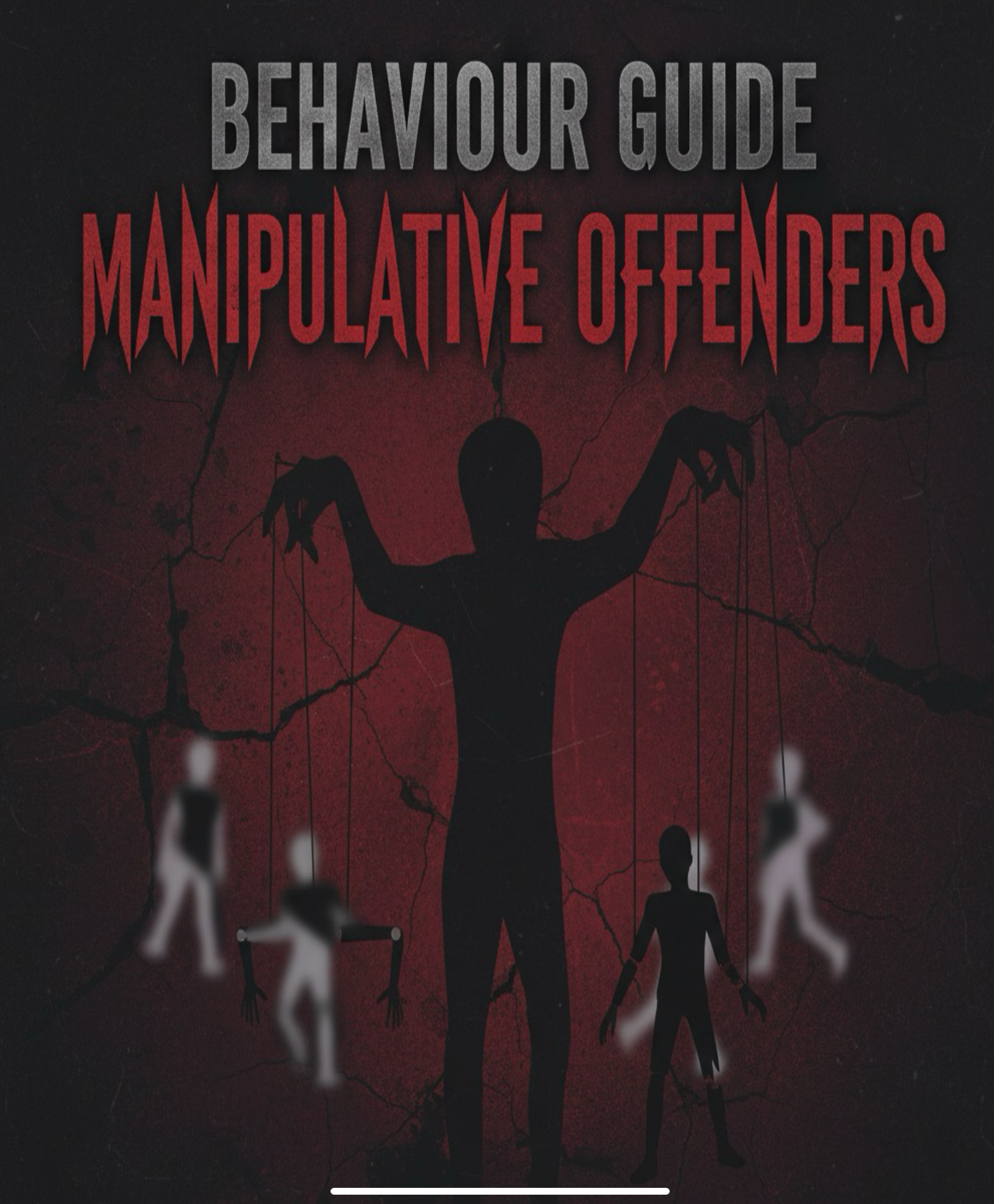 A Behaviour Profile: Manipulative Offenders